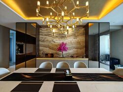 The Ritz-Carlton  (D9), Condominium #579310571